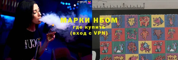 стаф Алзамай