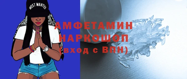 стаф Алзамай