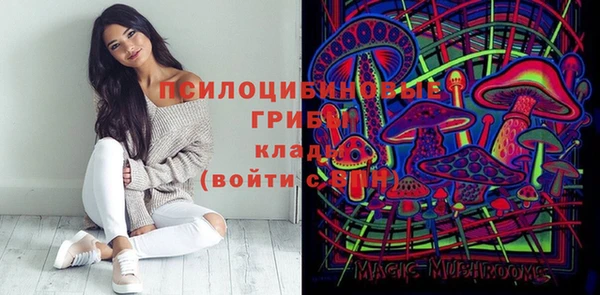 МДПВ Алексеевка