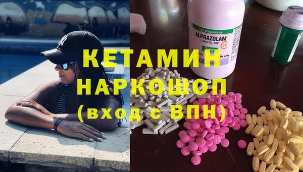 стаф Алзамай