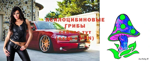 эйфоретик Алексин