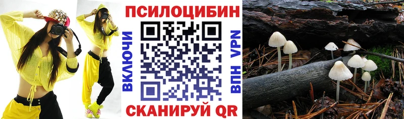 цена   это как зайти  Галлюциногенные грибы MAGIC MUSHROOMS  Стародуб 
